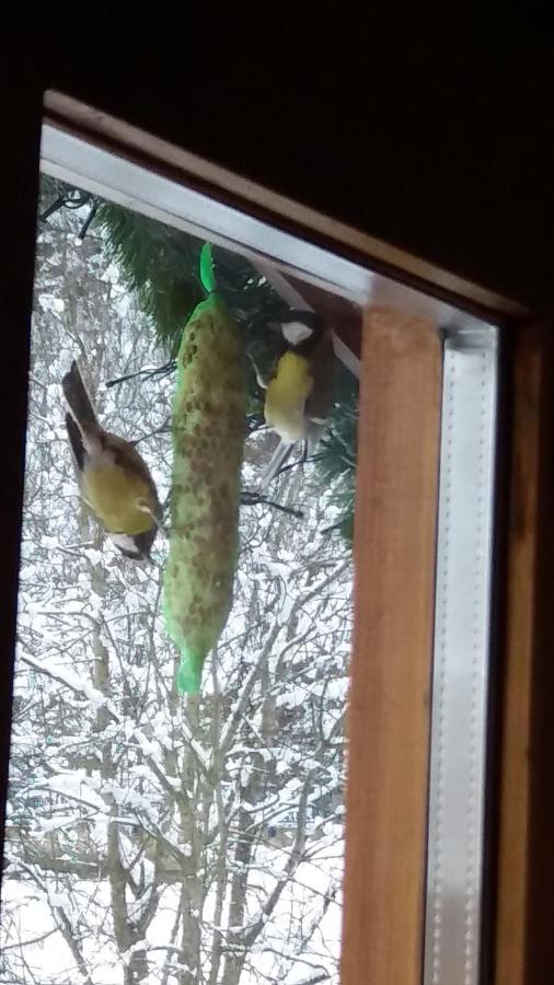 Appartement Mia Ginzling Zewnętrze zdjęcie